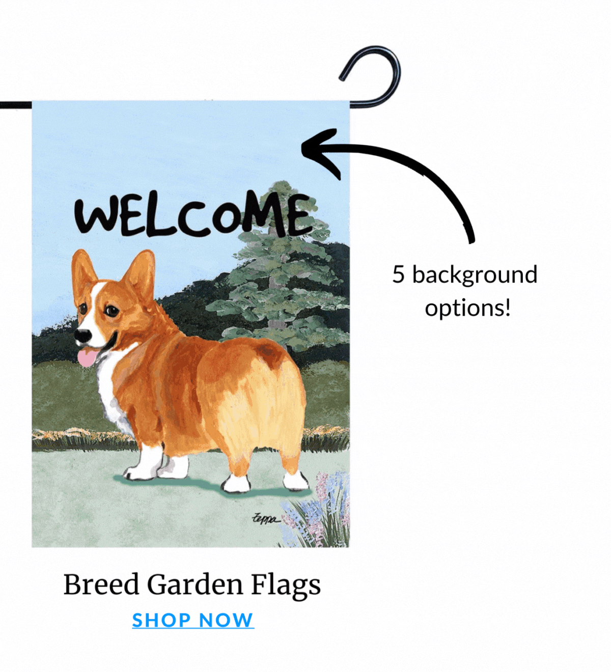 Dive into NEW Arrivals 🌊🐕 American Kennel Club